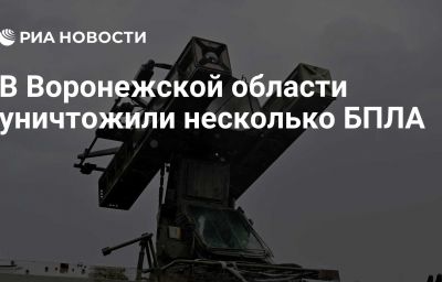 В Воронежской области уничтожили несколько БПЛА