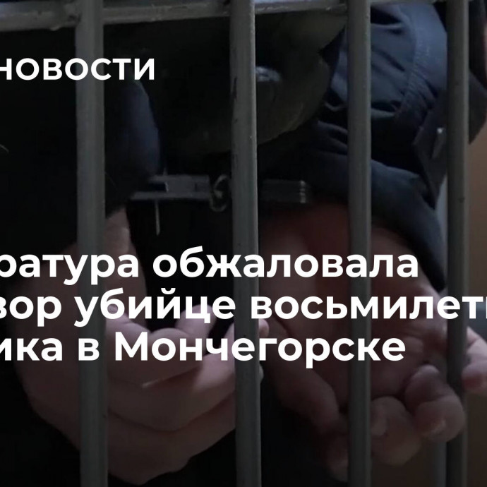 Прокуратура обжаловала приговор убийце восьмилетнего мальчика в Мончегорске