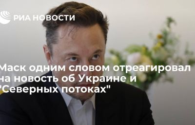 Маск одним словом отреагировал на новость об Украине и "Северных потоках"