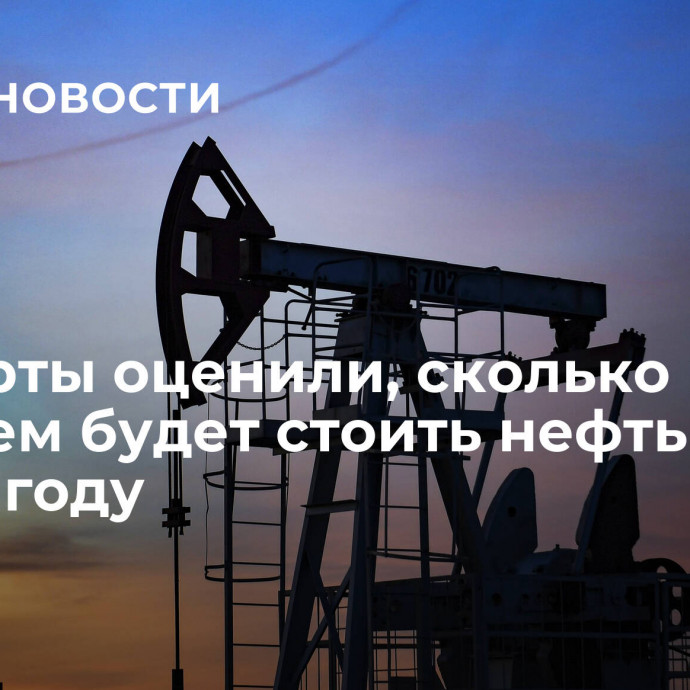 Эксперты оценили, сколько в среднем будет стоить нефть Urals в 2024 году