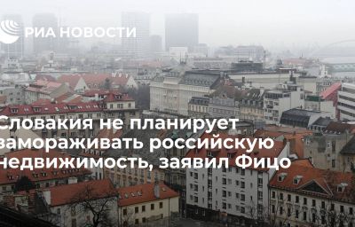 Словакия не планирует замораживать российскую недвижимость, заявил Фицо