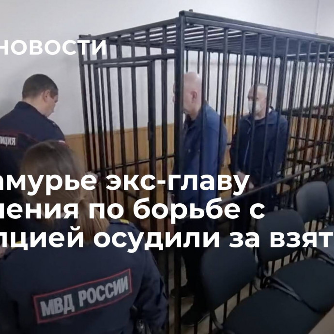 В Приамурье экс-главу управления по борьбе с коррупцией осудили за взятки