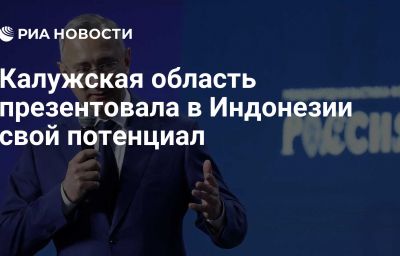 Калужская область презентовала в Индонезии свой потенциал