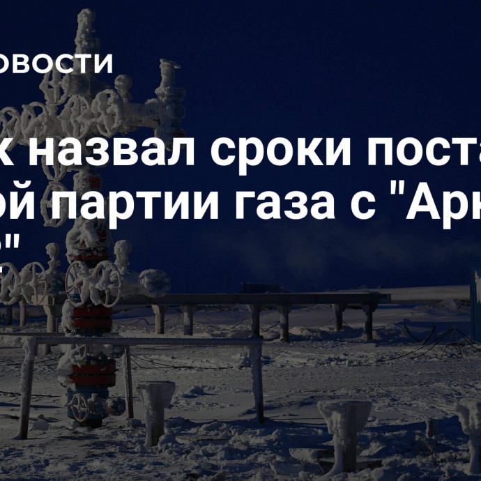 Новак назвал сроки поставки первой партии газа с 