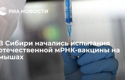 В Сибири начались испытания отечественной мРНК-вакцины на мышах