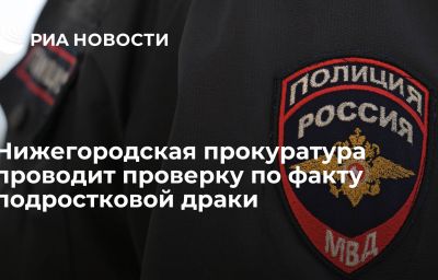 Нижегородская прокуратура проводит проверку по факту подростковой драки