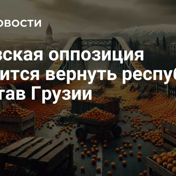 Абхазская оппозиция готовится вернуть республику в состав Грузии