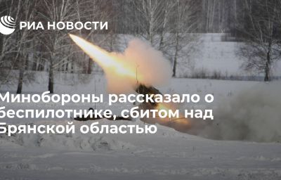 Минобороны рассказало о беспилотнике, сбитом над Брянской областью