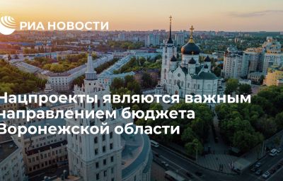 Нацпроекты являются важным направлением бюджета Воронежской области