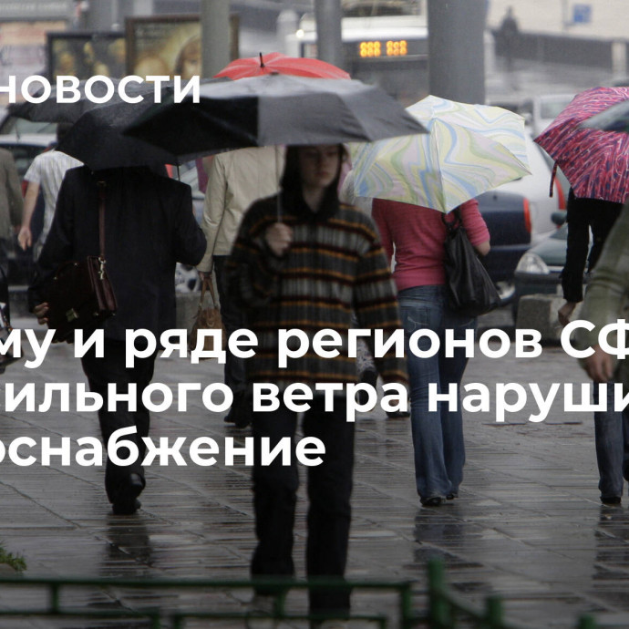 В Крыму и ряде регионов СФО из-за сильного ветра нарушилось энергоснабжение