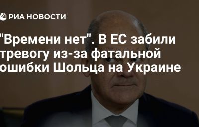 "Времени нет". В ЕС забили тревогу из-за фатальной ошибки Шольца на Украине