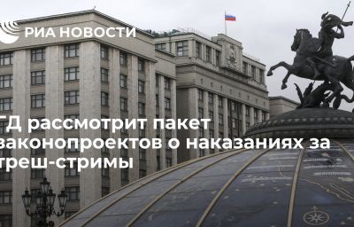 ГД рассмотрит пакет законопроектов о наказаниях за треш-стримы