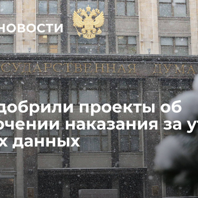 В ГД одобрили проекты об ужесточении наказания за утечки личных данных