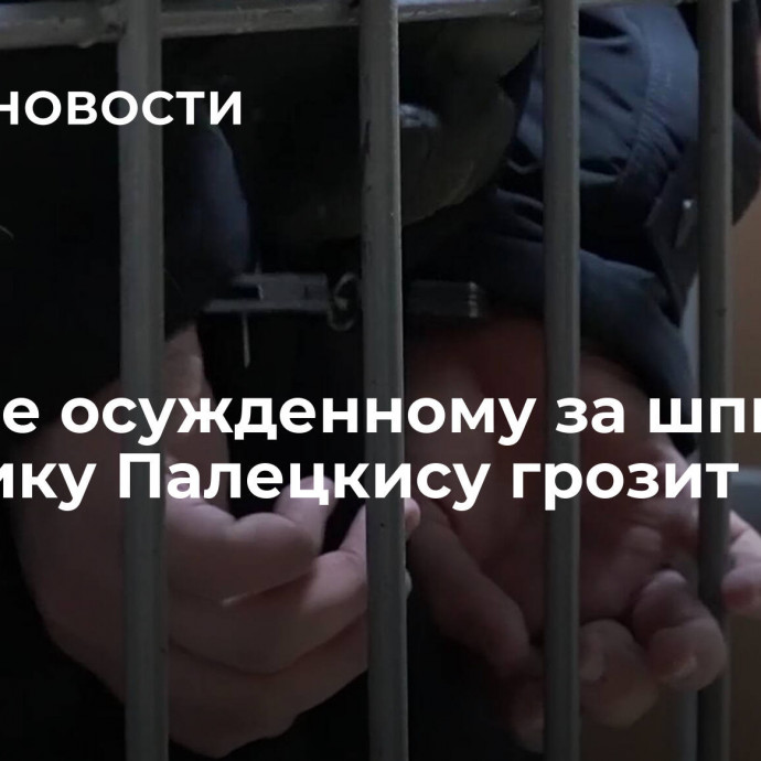 В Литве осужденному за шпионаж  политику Палецкису грозит новый срок