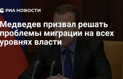 Медведев призвал решать проблемы миграции на всех уровнях власти