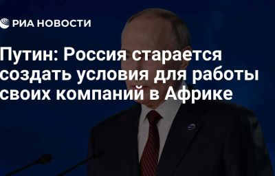 Путин: Россия старается создать условия для работы своих компаний в Африке