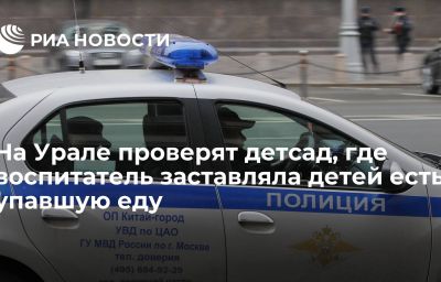 На Урале проверят детсад, где воспитатель заставляла детей есть упавшую еду