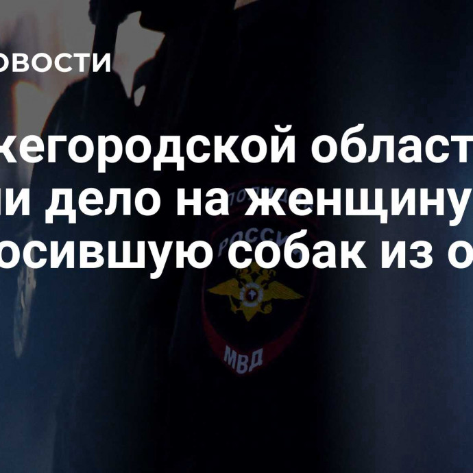 В Нижегородской области завели дело на женщину, выбросившую собак из окна