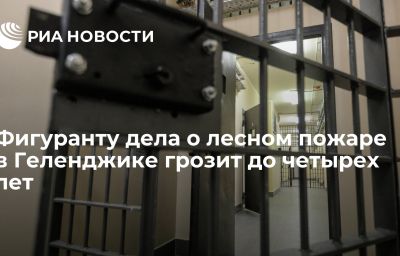 Фигуранту дела о лесном пожаре в Геленджике грозит до четырех лет