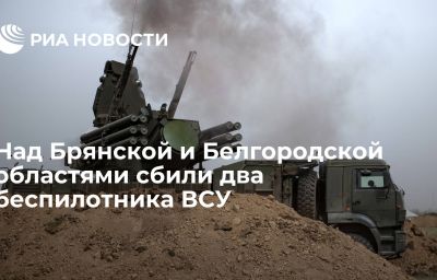 Над Брянской и Белгородской областями сбили два беспилотника ВСУ