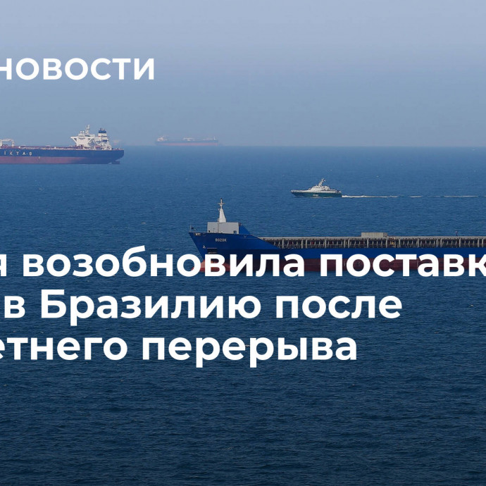 Россия возобновила поставки нефти в Бразилию после двухлетнего перерыва