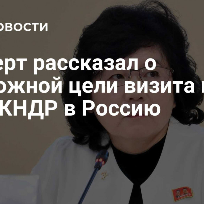 Эксперт рассказал о возможной цели визита главы МИД КНДР в Россию