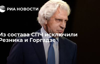 Из состава СПЧ исключили Резника и Горгадзе