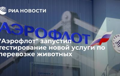 "Аэрофлот" запустил тестирование новой услуги по перевозке животных