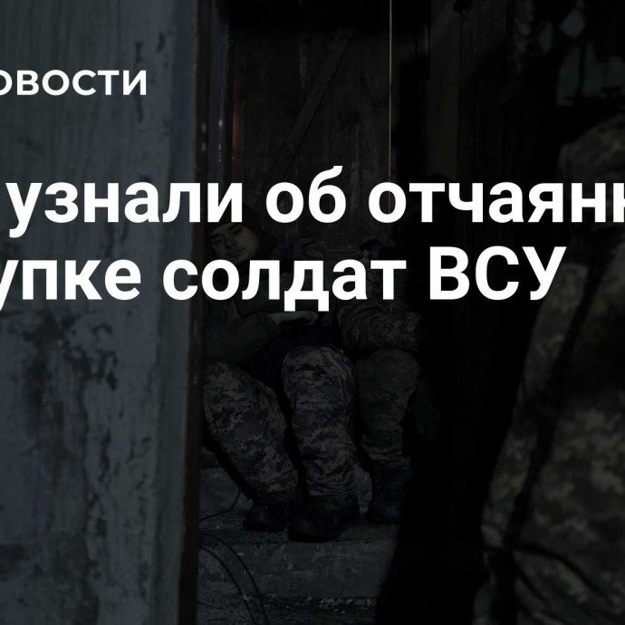 СМИ узнали об отчаянном поступке солдат ВСУ