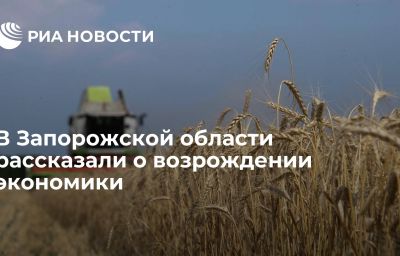 В Запорожской области рассказали о возрождении экономики