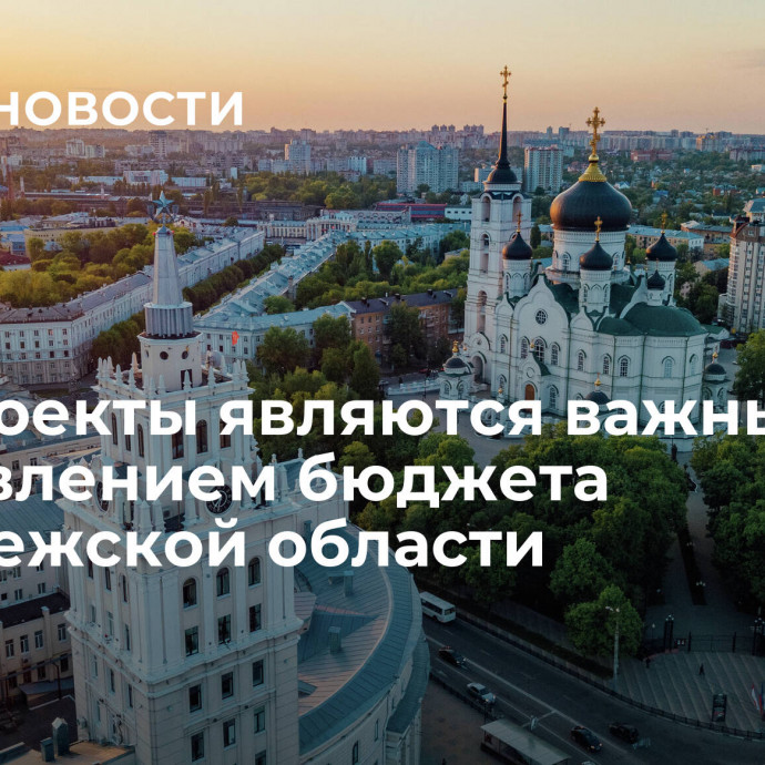 Нацпроекты являются важным направлением бюджета Воронежской области