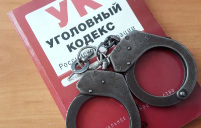 Многодетную москвичку заподозрили в покупке чужих детей