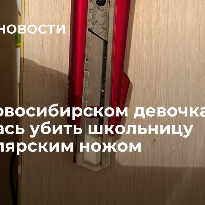 Под Новосибирском девочка пыталась убить школьницу канцелярским ножом