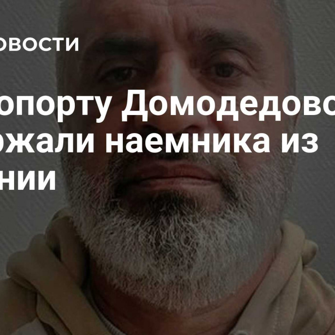 В аэропорту Домодедово задержали наемника из Армении