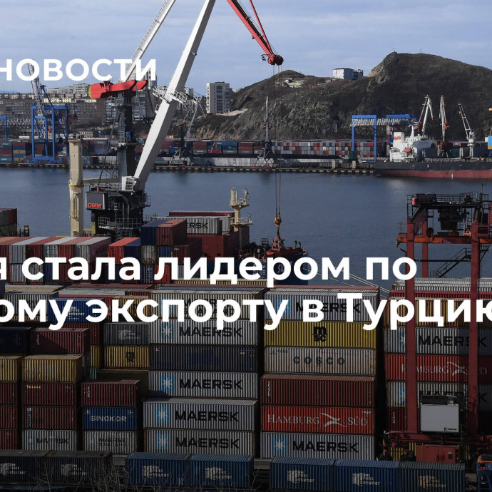 Россия стала лидером по морскому экспорту в Турцию