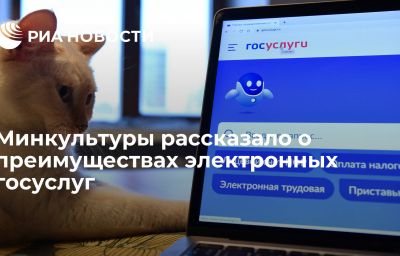 Минкультуры рассказало о преимуществах электронных госуслуг