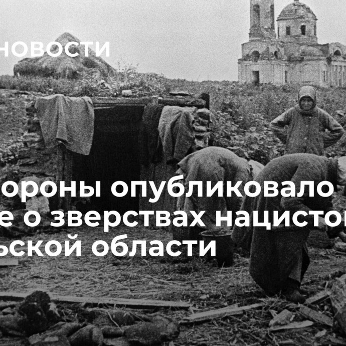 Минобороны опубликовало данные о зверствах нацистов в Гомельской области