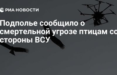 Подполье сообщило о смертельной угрозе птицам со стороны ВСУ