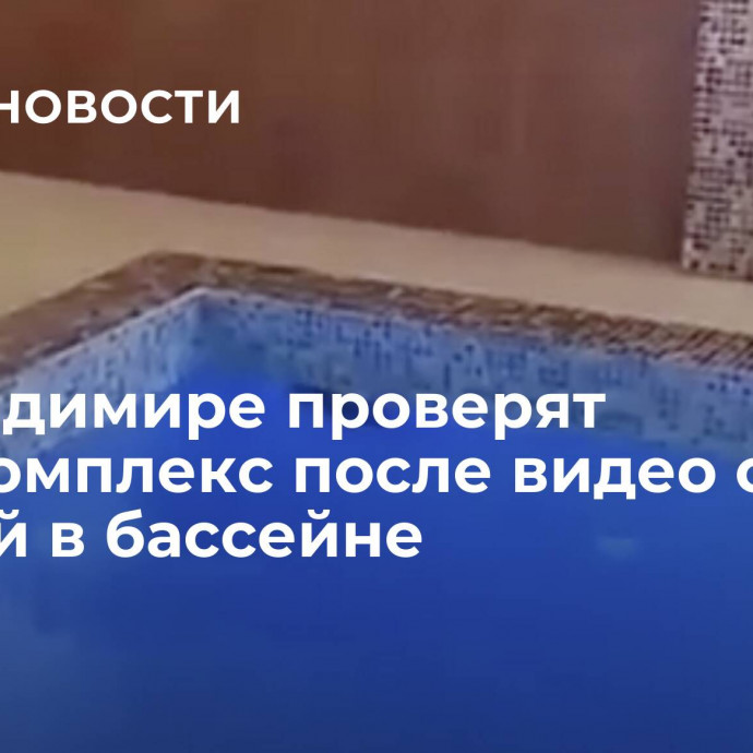 Во Владимире проверят СПА-комплекс после видео с крысой в бассейне