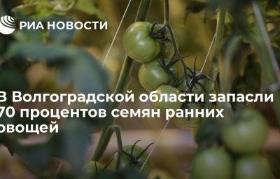 В Волгоградской области запасли 70 процентов семян ранних овощей