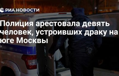 Полиция арестовала девять человек, устроивших драку на юге Москвы