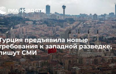 Турция предъявила новые требования к западной разведке, пишут СМИ