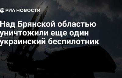 Над Брянской областью уничтожили еще один украинский беспилотник