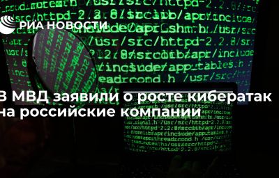 В МВД заявили о росте кибератак на российские компании