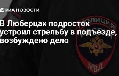 В Люберцах подросток устроил стрельбу в подъезде, возбуждено дело