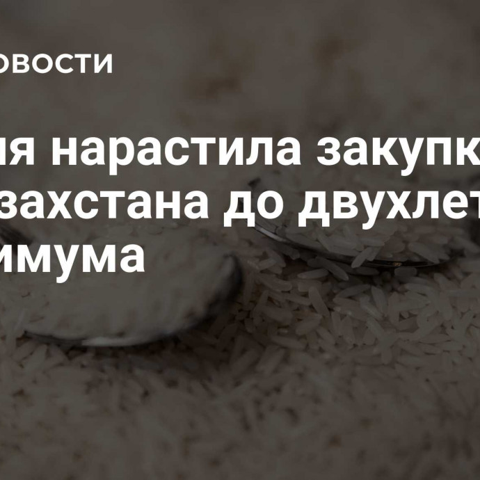 Россия нарастила закупки риса из Казахстана до двухлетнего максимума