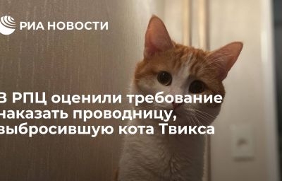 В РПЦ оценили требование наказать проводницу, выбросившую кота Твикса