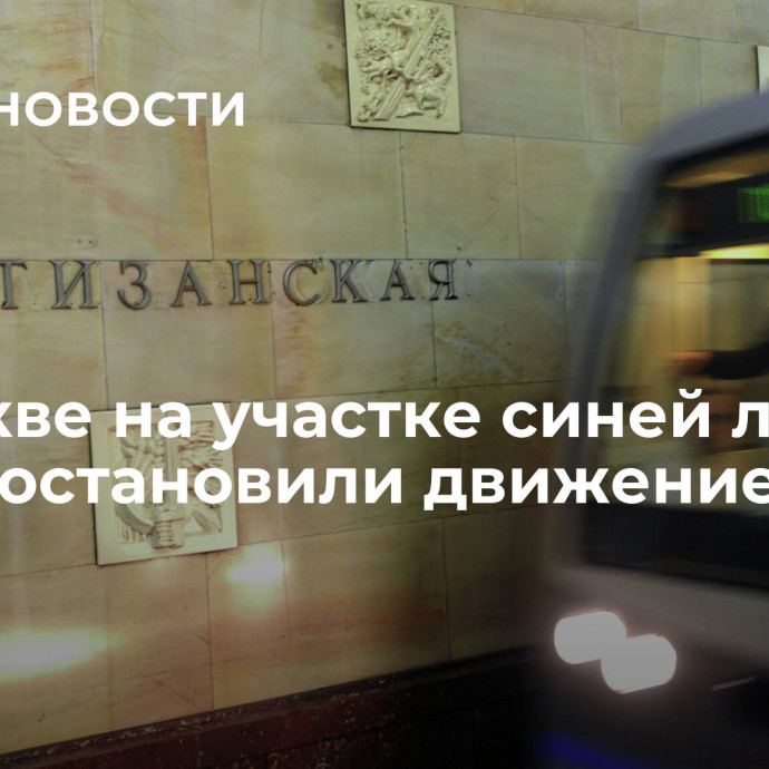 В Москве на участке синей линии метро остановили движение