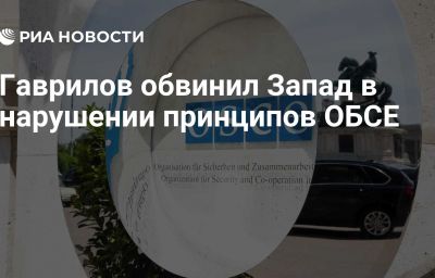 Гаврилов обвинил Запад в нарушении принципов ОБСЕ