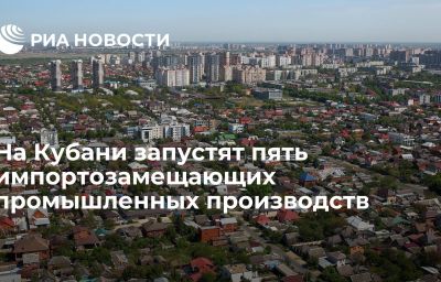 На Кубани запустят пять импортозамещающих промышленных производств